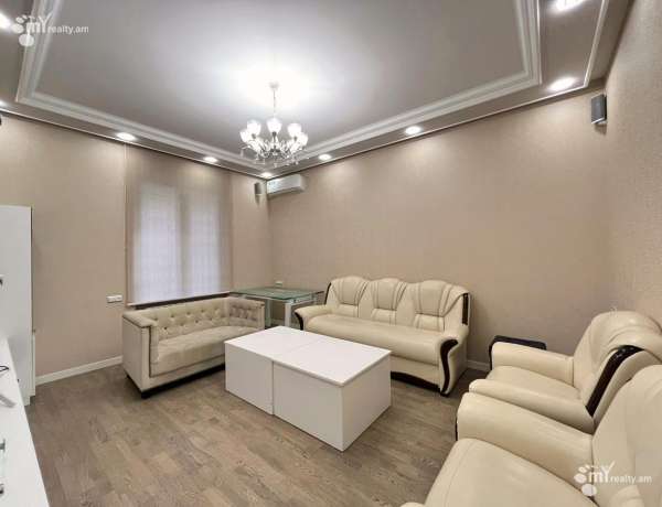 2-senyakanoc-bnakaran-vardzakalutyun-Yerevan-Arabkir