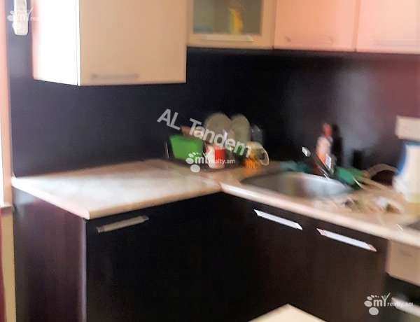 2-senyakanoc-bnakaran-vacharq-Yerevan-Achapnyak