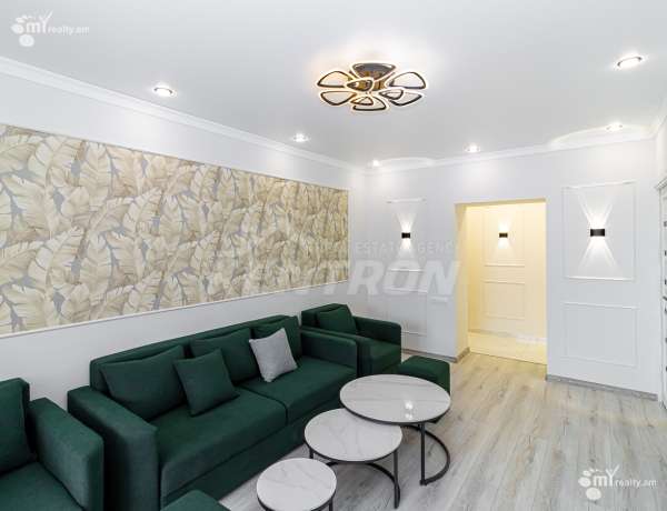 3-senyakanoc-bnakaran-vacharq-Yerevan-Arabkir