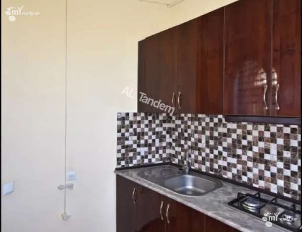 2-senyakanoc-bnakaran-vacharq-Yerevan-Arabkir