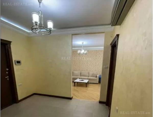 1-senyakanoc-bnakaran-vardzakalutyun-Yerevan-Center