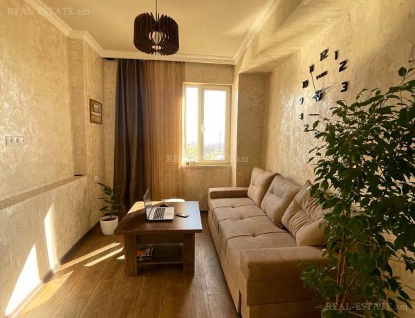 2-senyakanoc-bnakaran-vardzakalutyun-Yerevan-Arabkir