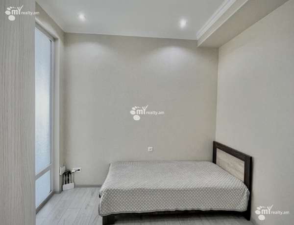 3-senyakanoc-bnakaran-vardzakalutyun-Yerevan-Arabkir
