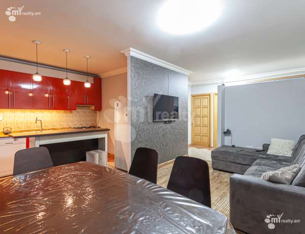 5-senyakanoc-bnakaran-vardzakalutyun-Yerevan-Arabkir