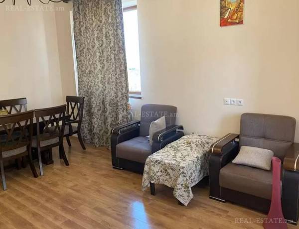 2-senyakanoc-bnakaran-vardzakalutyun-Yerevan-Avan