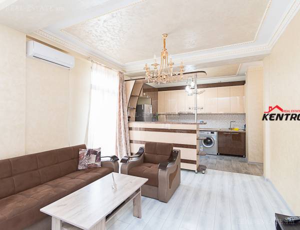 2-senyakanoc-bnakaran-vardzakalutyun-Yerevan-Davtashen