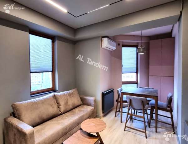 3-senyakanoc-bnakaran-vardzakalutyun-Yerevan-Arabkir