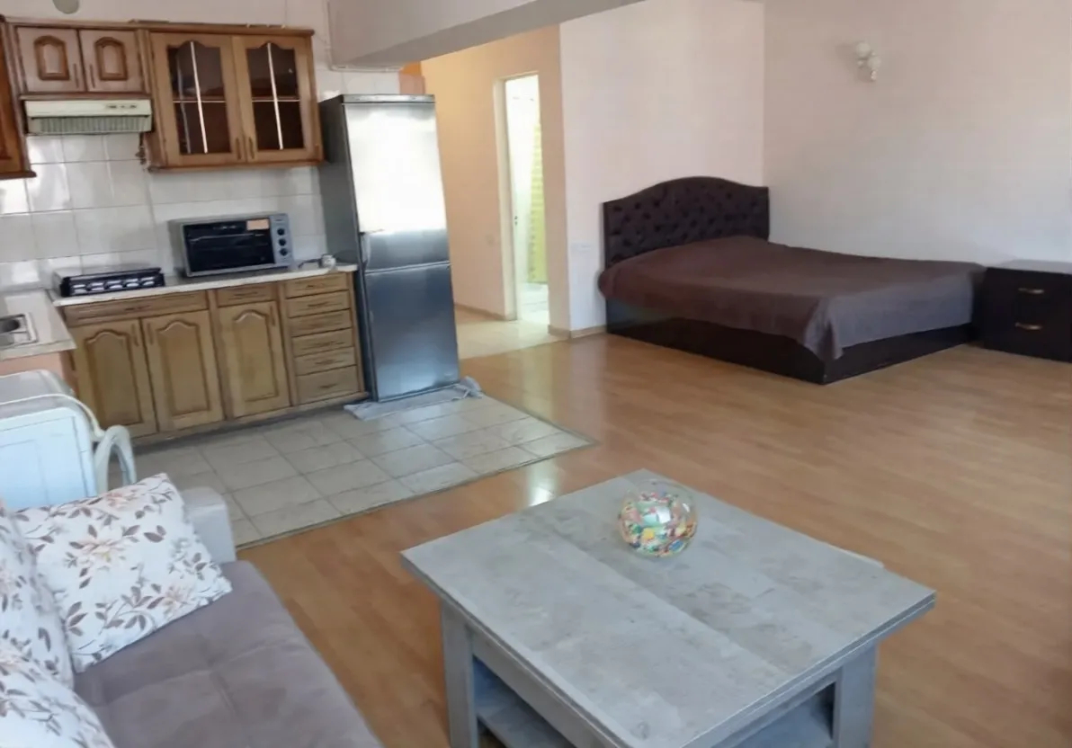 1 bedroom apartment for rent Tumanyan St, Center Yerevan, 161568