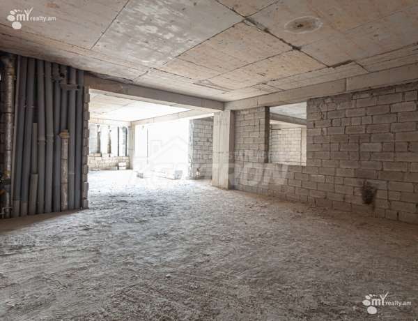 3-senyakanoc-bnakaran-vacharq-Yerevan-Center