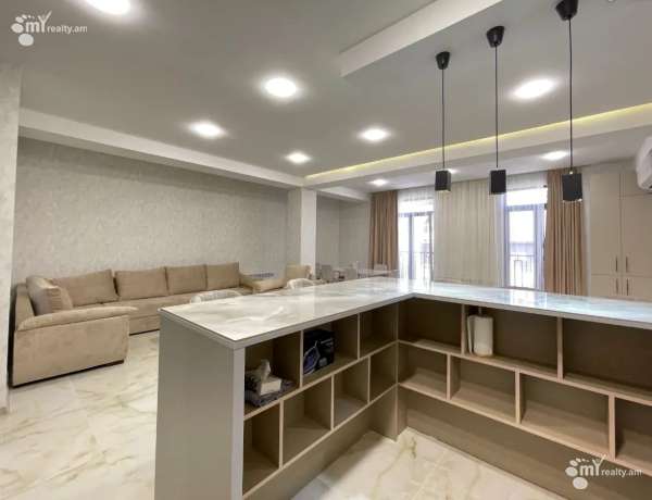 3-senyakanoc-bnakaran-vardzakalutyun-Yerevan-Center