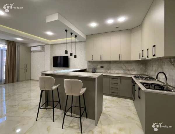 3-senyakanoc-bnakaran-vardzakalutyun-Yerevan-Center