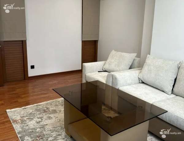 2-senyakanoc-bnakaran-vardzakalutyun-Yerevan-Center