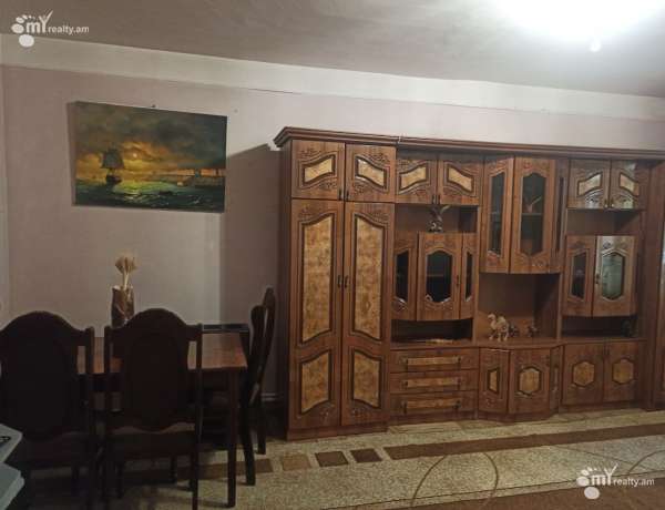 3-senyakanoc-bnakaran-vardzakalutyun-Yerevan-Avan