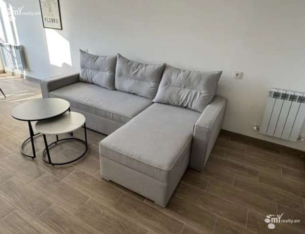 2-senyakanoc-bnakaran-vardzakalutyun-Yerevan-Davtashen