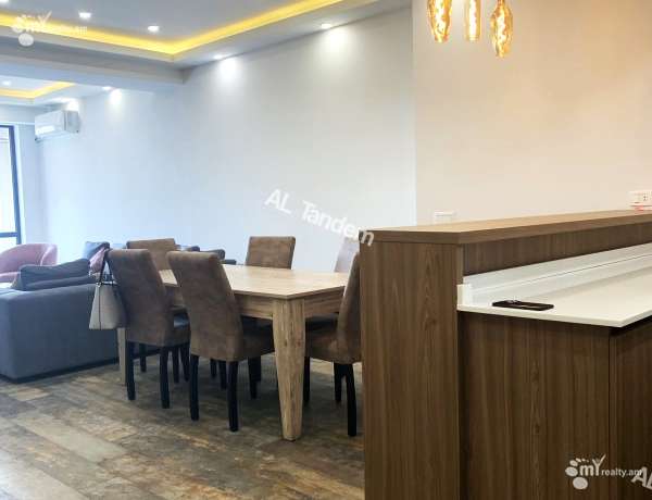 3-senyakanoc-bnakaran-vardzakalutyun-Yerevan-Center