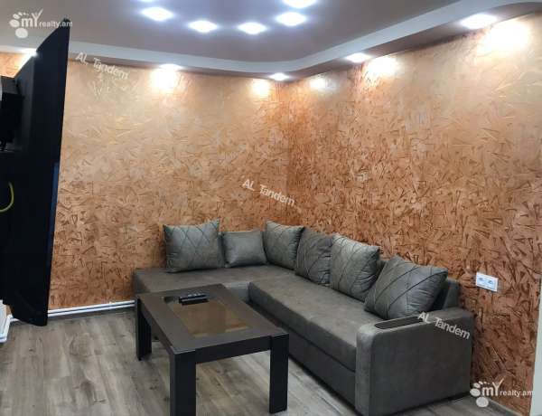 2-senyakanoc-bnakaran-vardzakalutyun-Yerevan-Arabkir