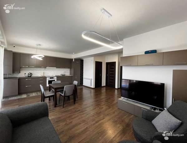 3-senyakanoc-bnakaran-vardzakalutyun-Yerevan-Nor-Nork