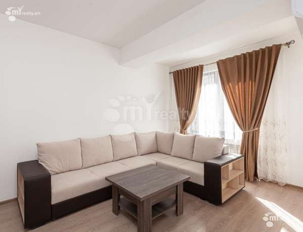 3-senyakanoc-bnakaran-vardzakalutyun-Yerevan-Arabkir