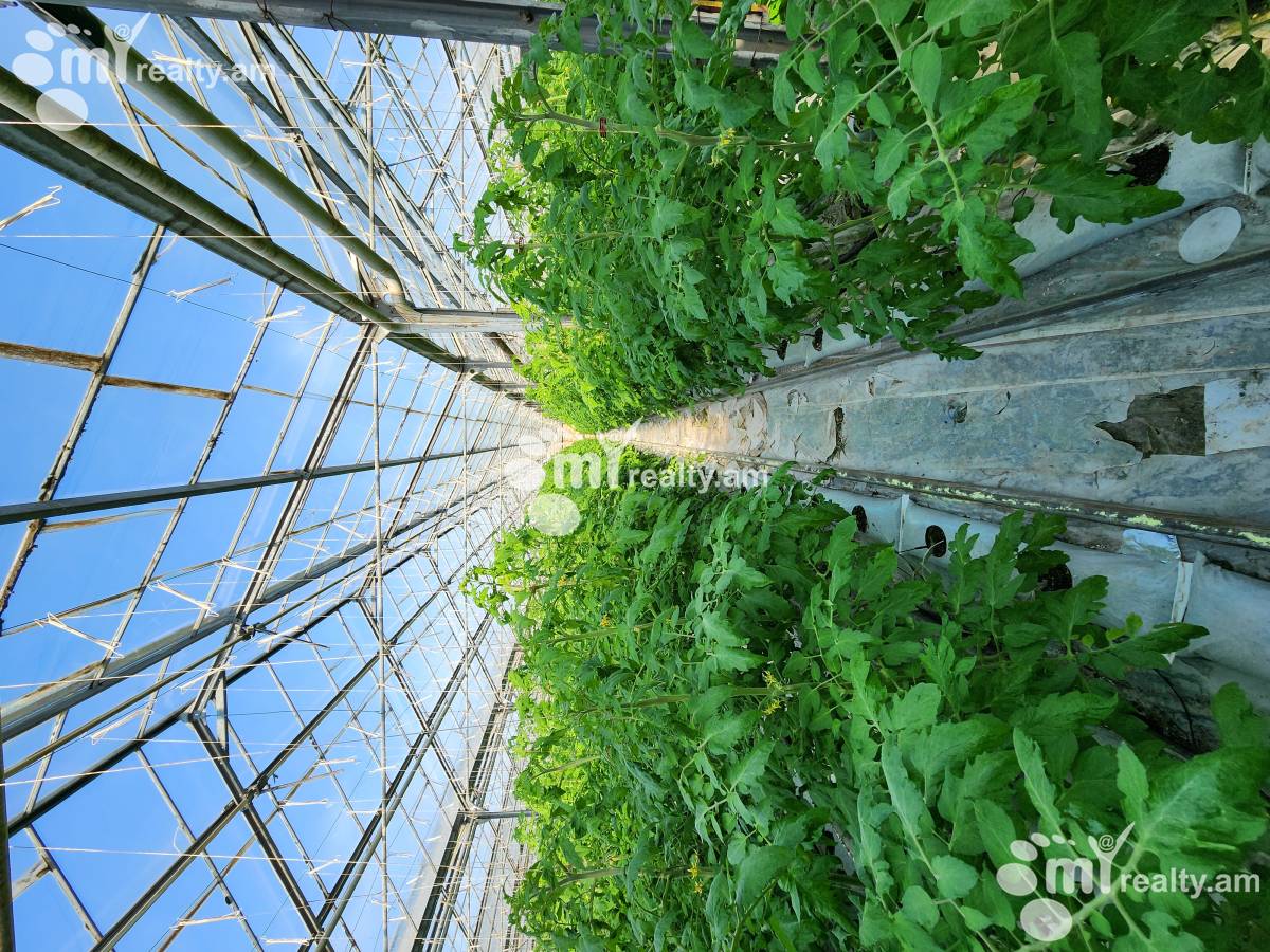 Land for sale Aramus, Aramus Kotayk, 158581