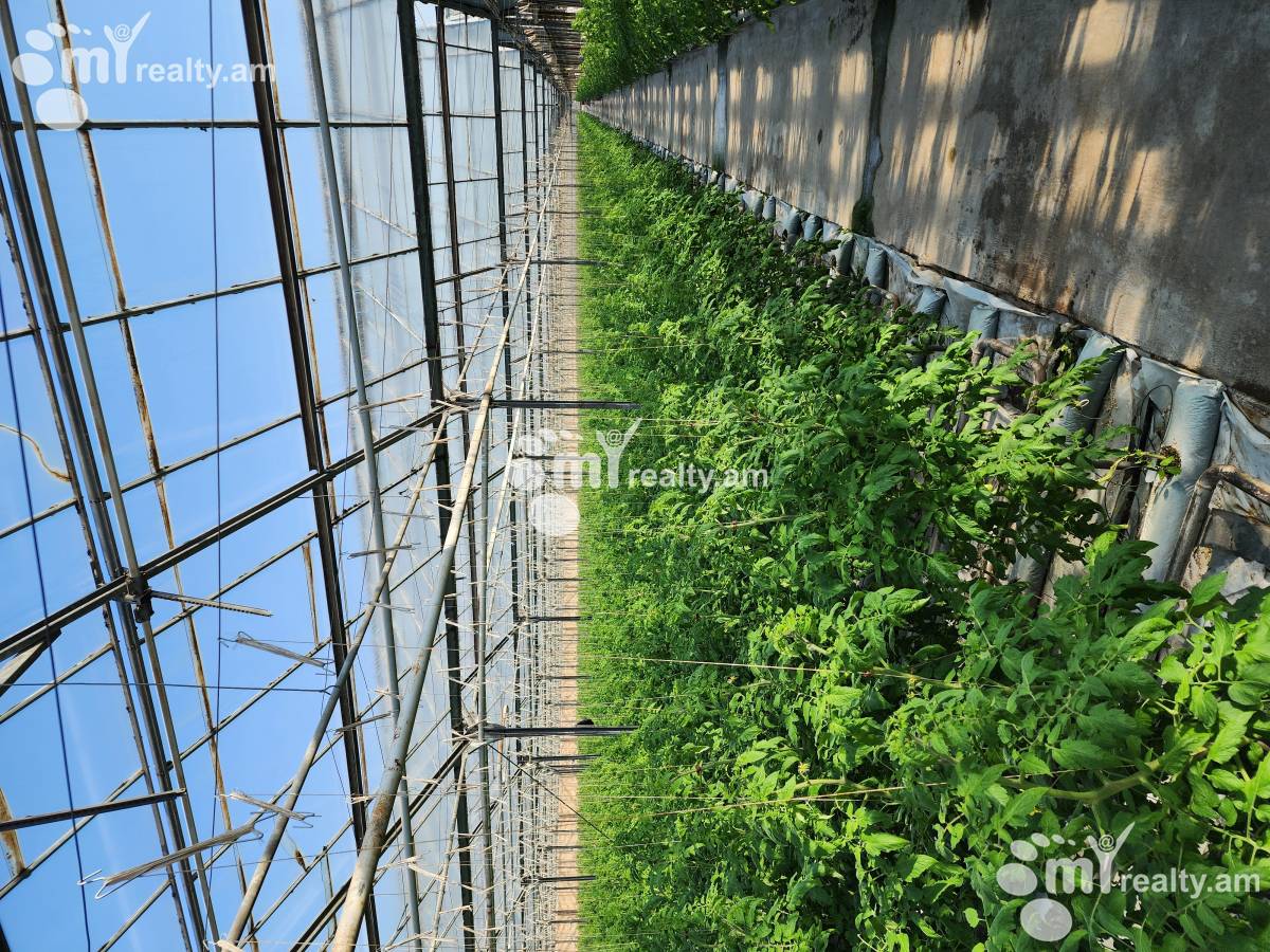 Land for sale Aramus, Aramus Kotayk, 158581