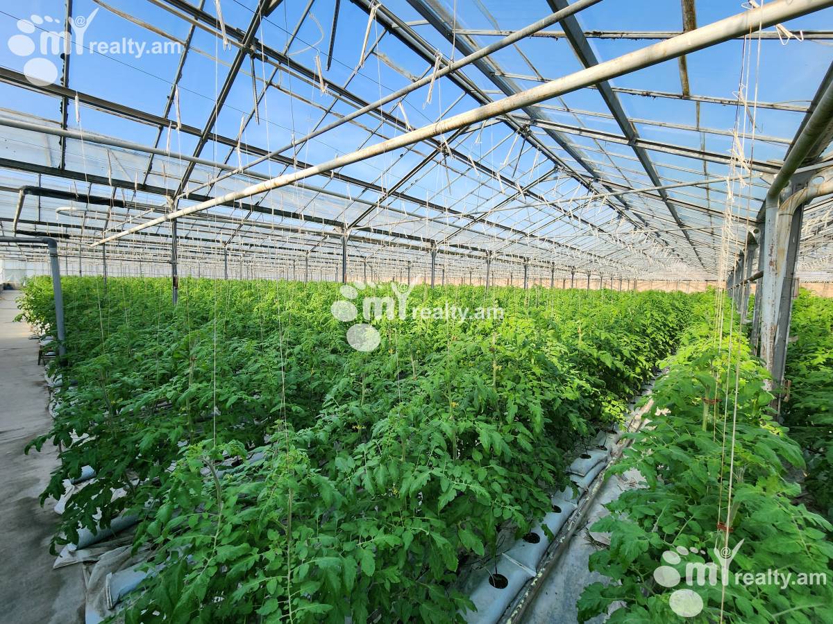 Land for sale Aramus, Aramus Kotayk, 158581