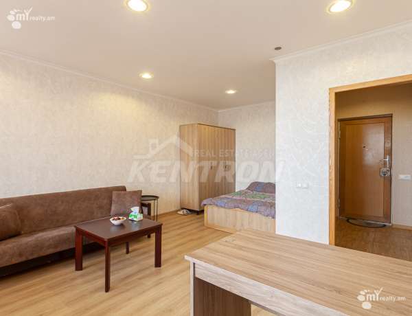 2-senyakanoc-bnakaran-vardzakalutyun-Yerevan-Center