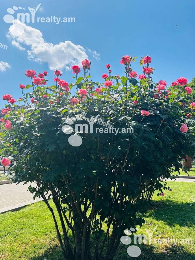 House for rent Paraqar, Paraqar Armavir, 149801