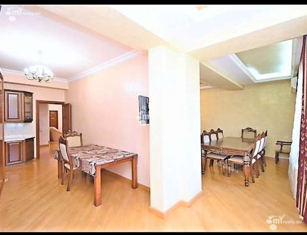 4-senyakanoc-bnakaran-vardzakalutyun-Yerevan-Center