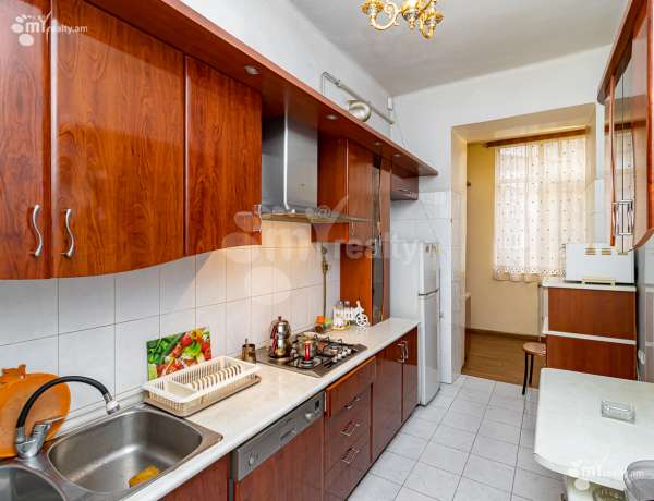 3-senyakanoc-bnakaran-vardzakalutyun-Yerevan-Center