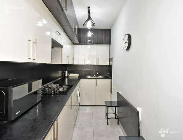 2-senyakanoc-bnakaran-vardzakalutyun-Yerevan-Center