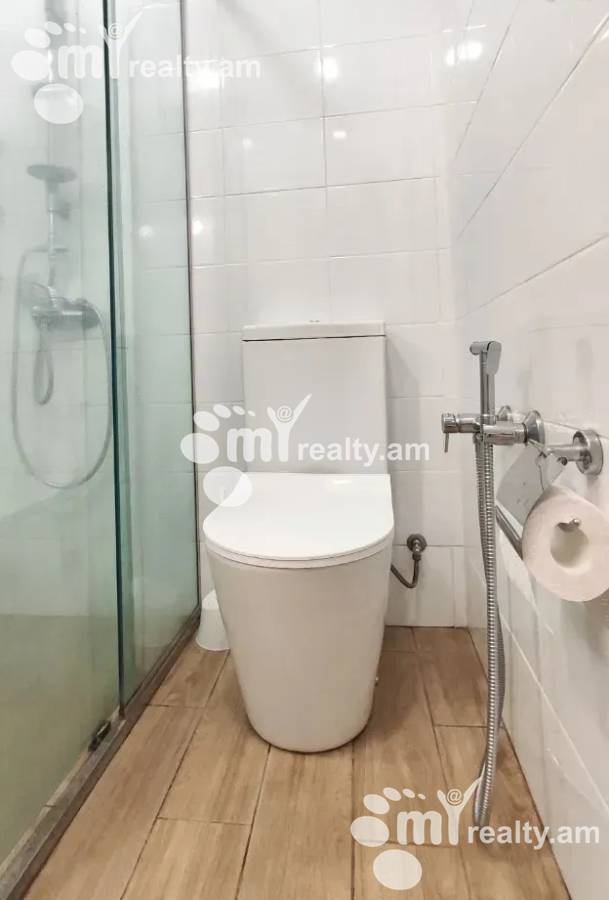 3 bedroom apartment for rent خیابان ن. تیگریانیان, عربگیر ایروان, 161161