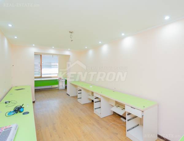 3-senyakanoc-bnakaran-vacharq-Yerevan-Arabkir