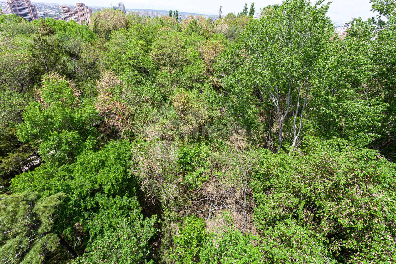 Commercial property for rent V.Papazyan St, Arabkir Yerevan, 160453