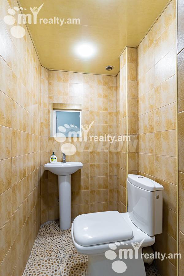 Commercial for sale خیابان ابوویان, مرکز شهر ایروان, 154516