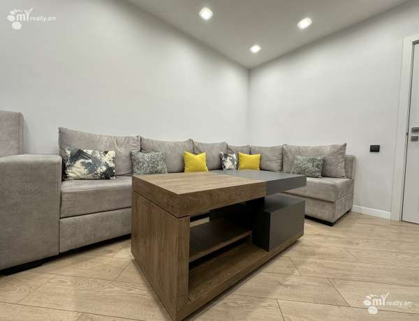 3-senyakanoc-bnakaran-vacharq-Yerevan-Arabkir