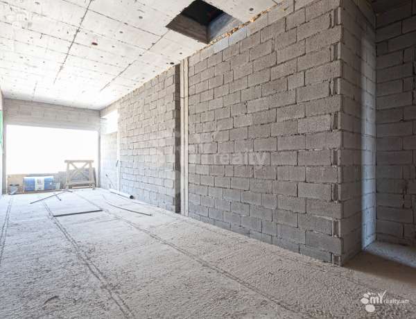 arandznatun-vacharq-Yerevan-Nor-Nork