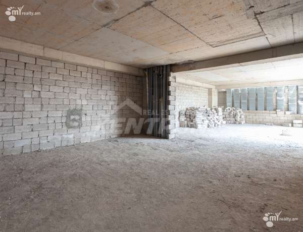 bnakaran/3-senyakanoc/Amiryan+St/Center/Yerevan