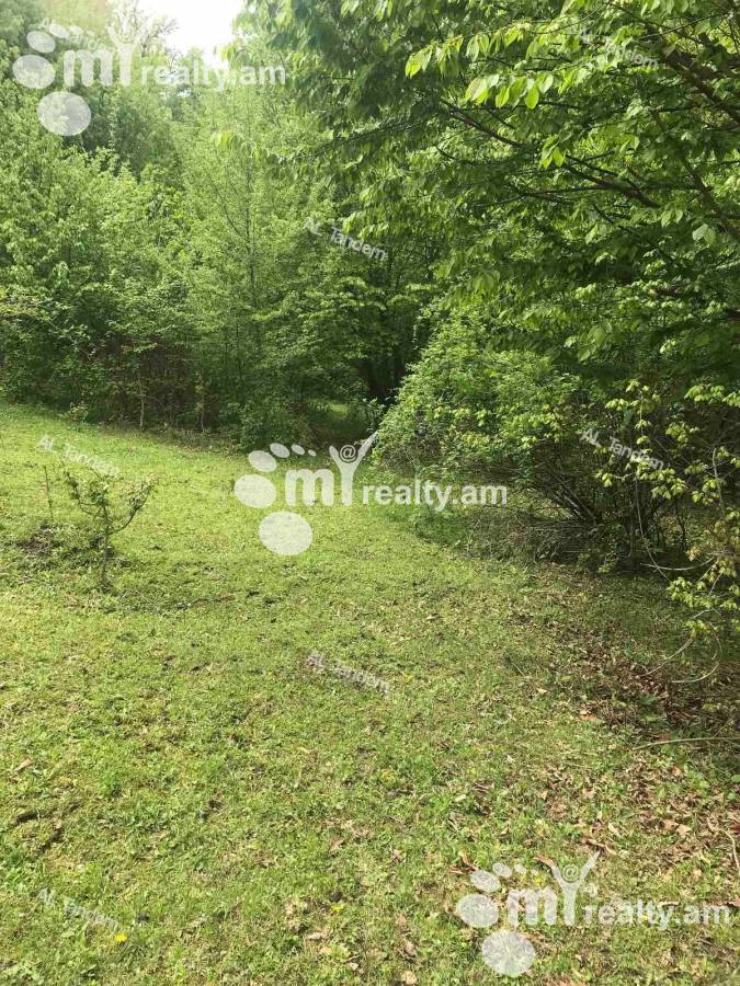 Купить замельный участок Дилижан, Дилиджан Тавуш, 122439