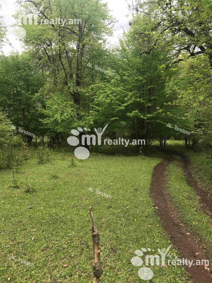Купить замельный участок Дилижан, Дилиджан Тавуш, 122439