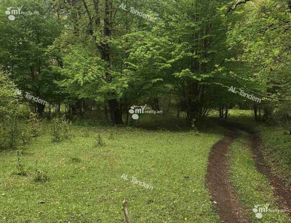 land-for-sale/Dilidjan/Dilijan/Tavush