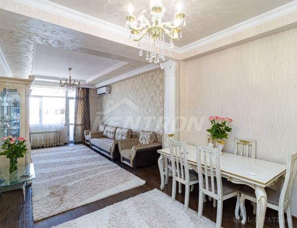 2-senyakanoc-bnakaran-vardzakalutyun-Yerevan-Center