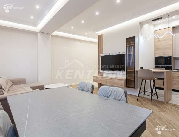 2-senyakanoc-bnakaran-vardzakalutyun-Yerevan-Davtashen