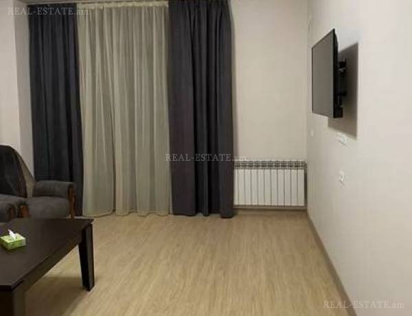 4-senyakanoc-bnakaran-vardzakalutyun-Yerevan-Arabkir