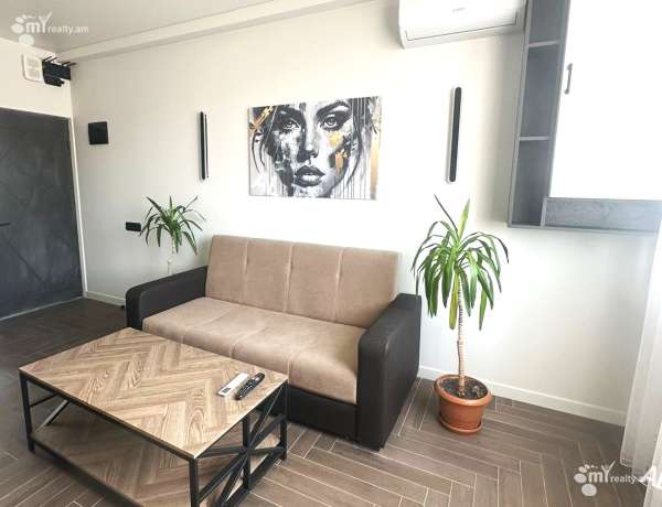 2-senyakanoc-bnakaran-vacharq-Yerevan-Center