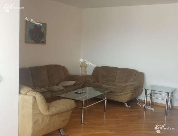 3-senyakanoc-bnakaran-vardzakalutyun-Yerevan-Center