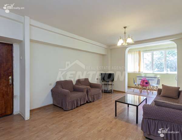 3-senyakanoc-bnakaran-vardzakalutyun-Yerevan-Center