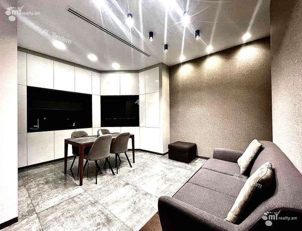 3-senyakanoc-bnakaran-vardzakalutyun-Yerevan-Center