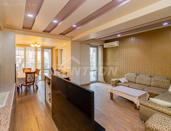 4-senyakanoc-bnakaran-vardzakalutyun-Yerevan-Center