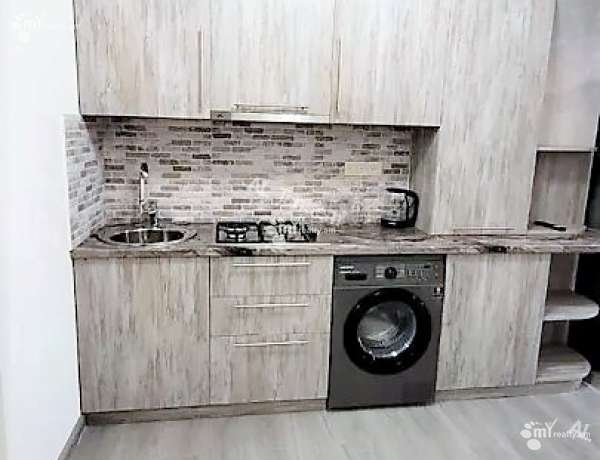 3-senyakanoc-bnakaran-vardzakalutyun-Yerevan-Center