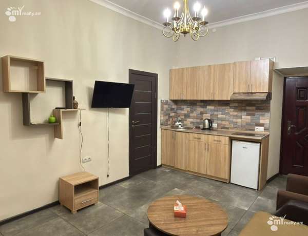 2-senyakanoc-bnakaran-vardzakalutyun-Yerevan-Center